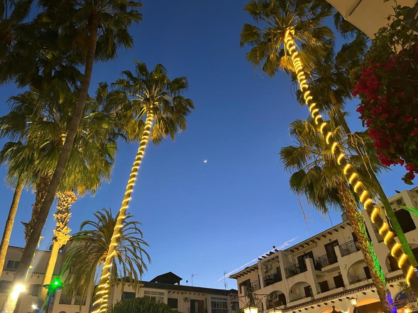 Palmview Poolside Heaven In Turquesa Del Mar Apartment Orihuela Exterior photo